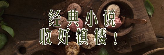 经典小说\收好镇楼！